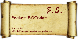 Pecker Sándor névjegykártya